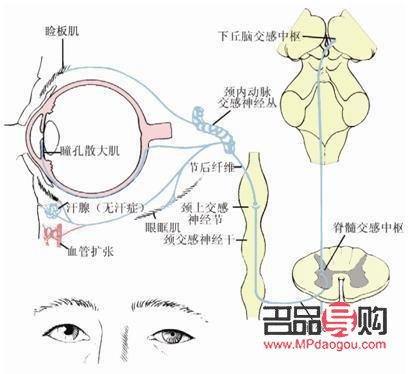 <h3>眼周神經痙攣的治療方法</h3>