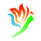 金陽融媒+app