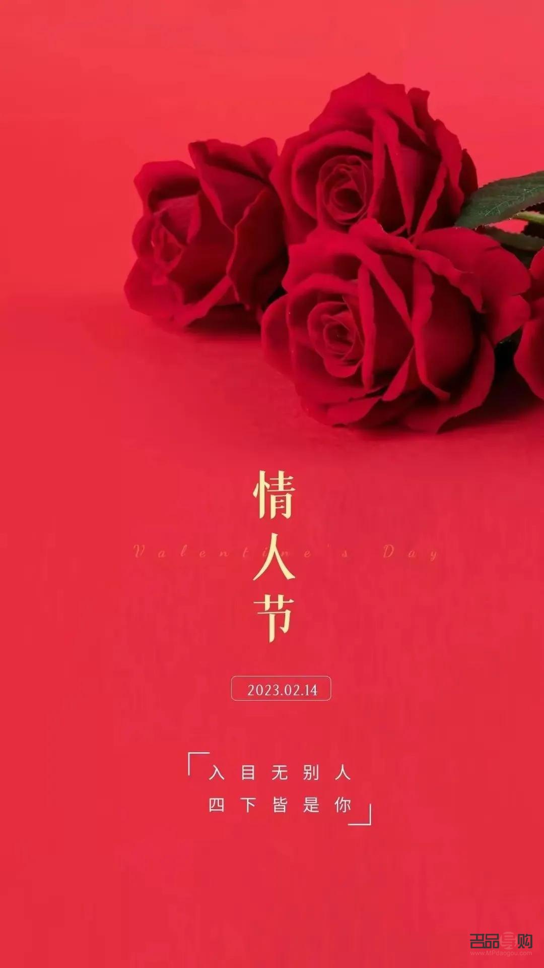 怎么要情人節的禮物(怎么要情人節的禮物呢)