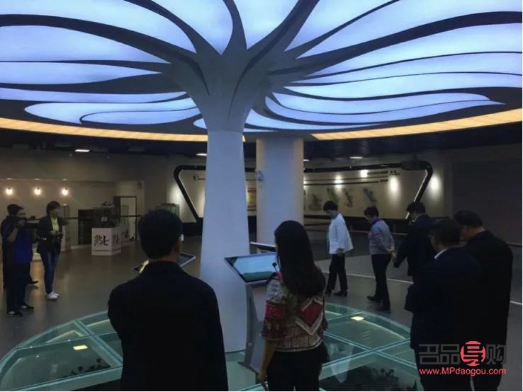 三七粉美容秘籍：煥發肌膚光彩的東方神草