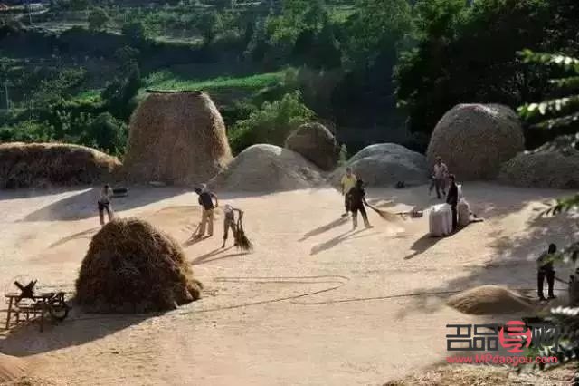 照黃光后怎么護理身體(照黃光后怎么護理身體好)