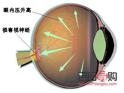 中年之后，如何科學護理身體？