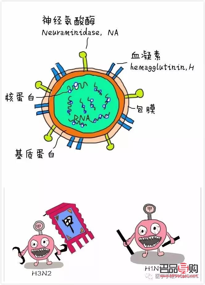 身體感染護理全攻略