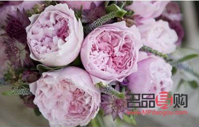 美容養顏之花：探尋花朵中的美麗秘密