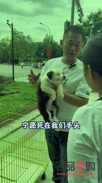 內雙眼皮男生的魅力之謎