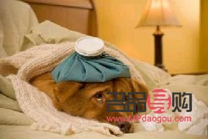 <h3>流感發燒全面護理指南：從預防到康復</h3>