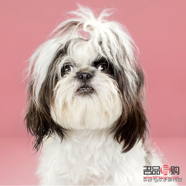 <h3>日式美容的奧秘與實踐</h3>