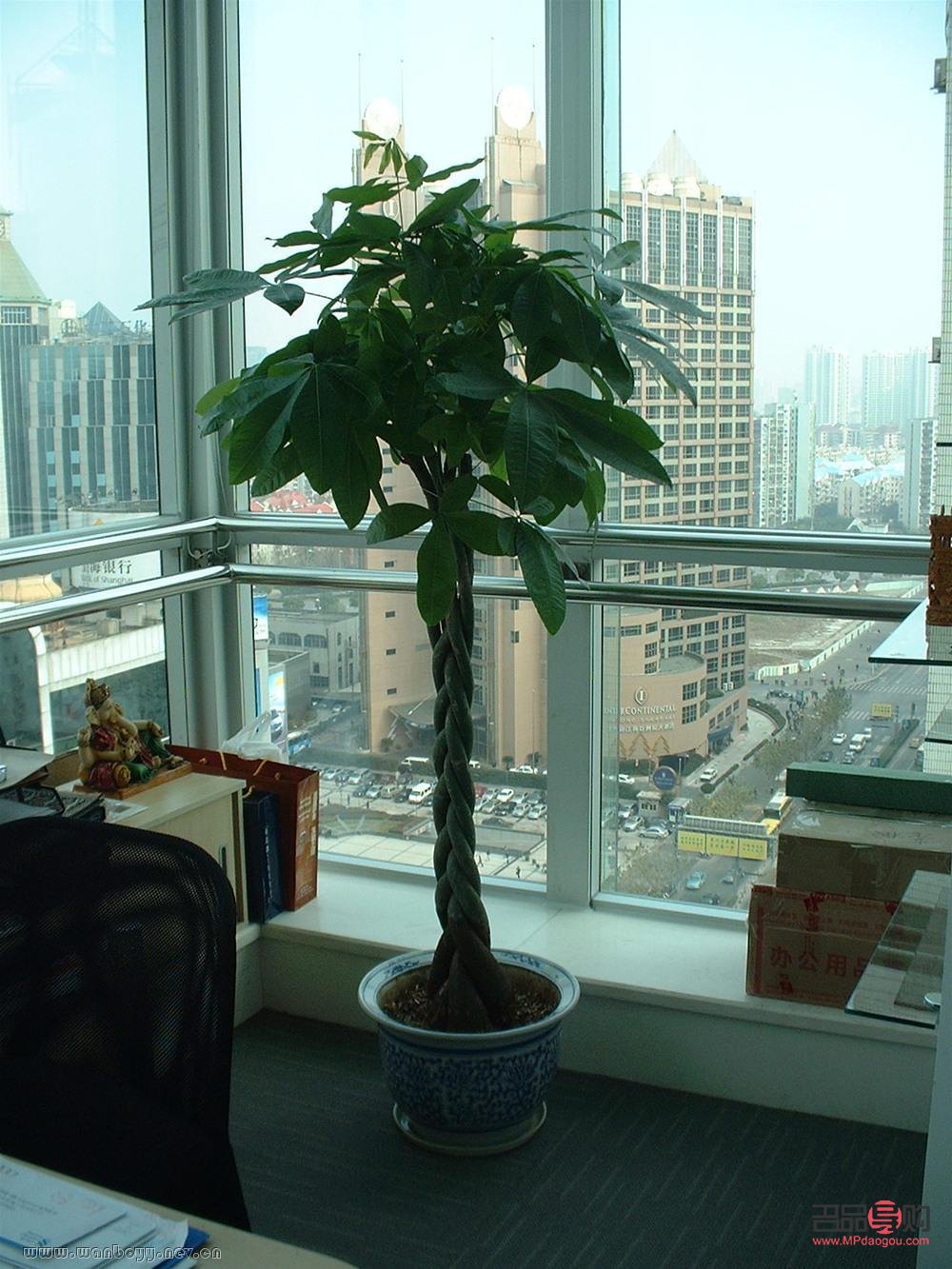 弟弟喬遷禮物刻什么字(弟弟喬遷禮物刻什么字好)