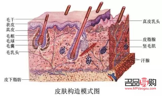 <h3>酸奶身體護理：滋養肌膚的新選擇</h3>
