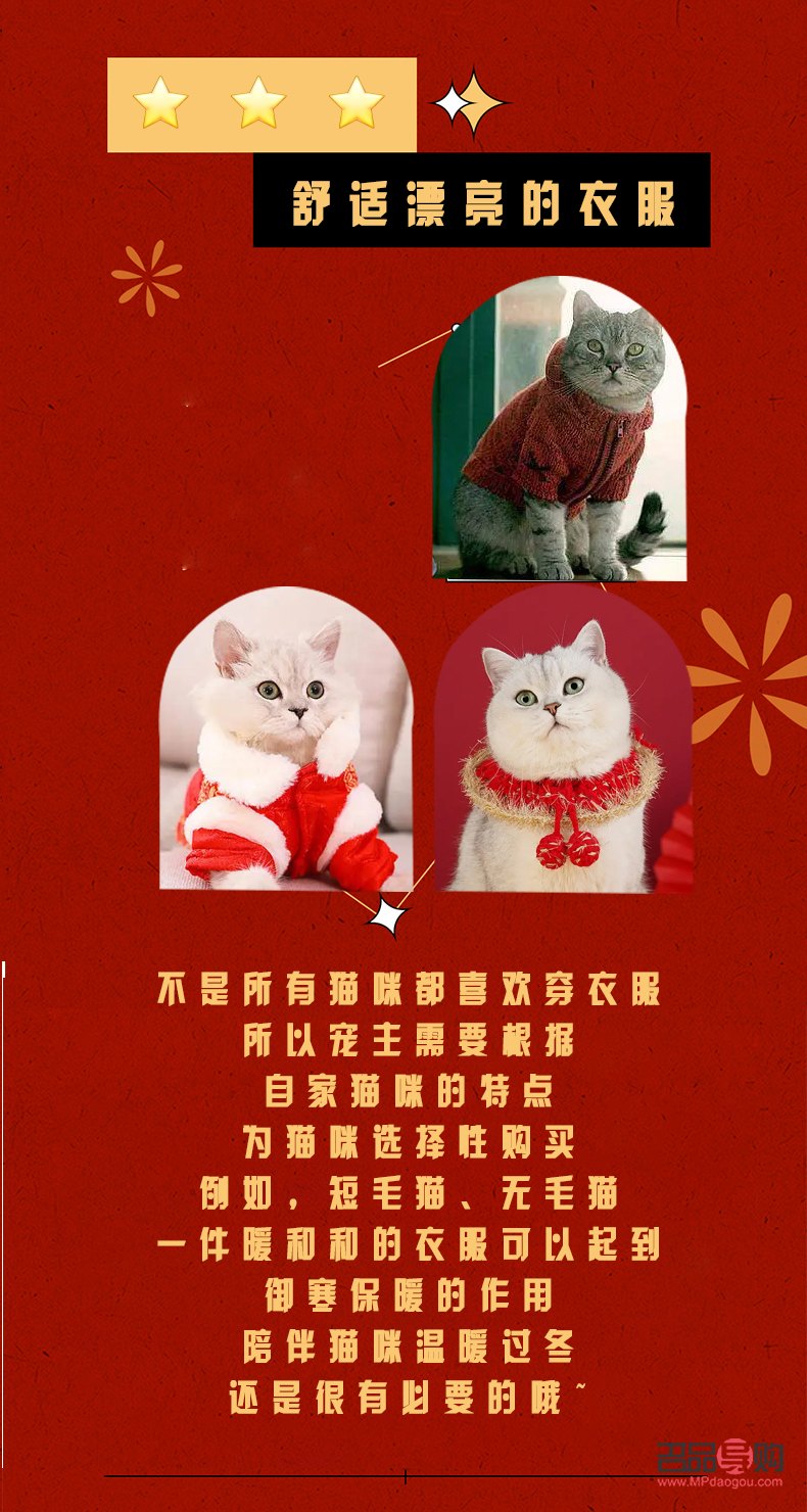<h3>兒子十五歲，選購禮物的智慧與藝術</h3>
