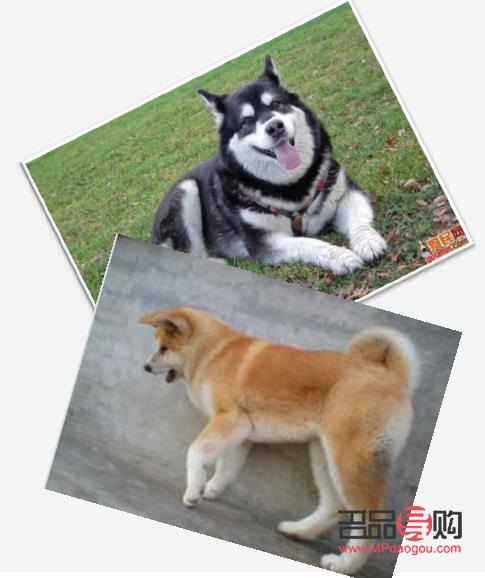 什么是美容院托管(什么是美容院托管服務)