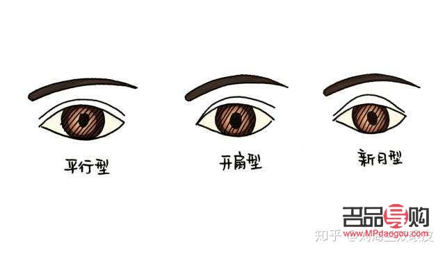 新月雙眼皮長(zhǎng)什么樣子(新月雙眼皮特點(diǎn))