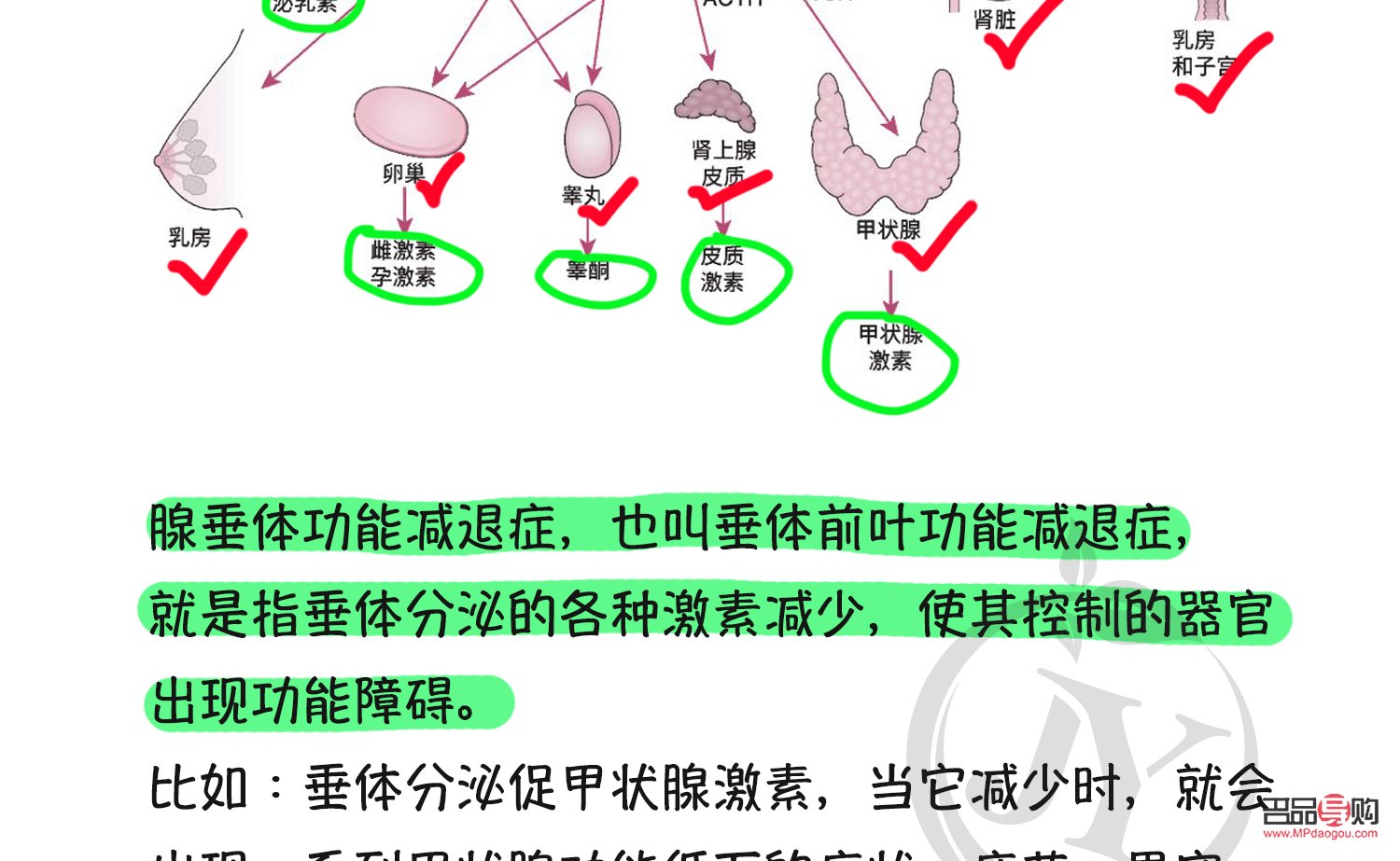 <h3>激素治療下的身體護理之道</h3>