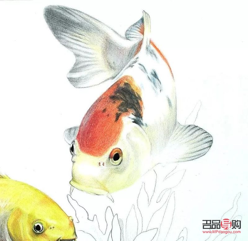 錦鯉彩妝怎么畫(錦鯉彩妝怎么畫好看)