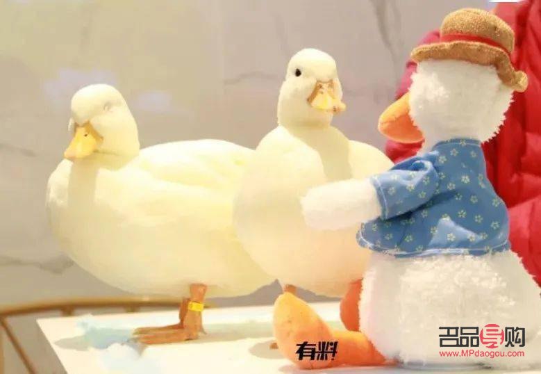 <h3>美容院與鴨子：一場意外的跨界碰撞</h3>