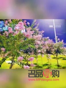 怎么教彩妝(彩妝怎么學)