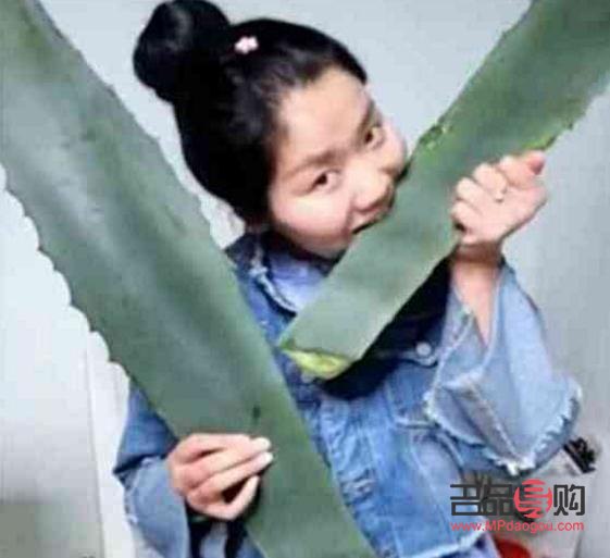蘆薈做美容可以嗎(蘆薈做美容可以嗎有毒嗎)