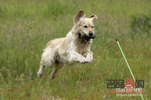 學美容是為了什么(學美容是為了什么呢)