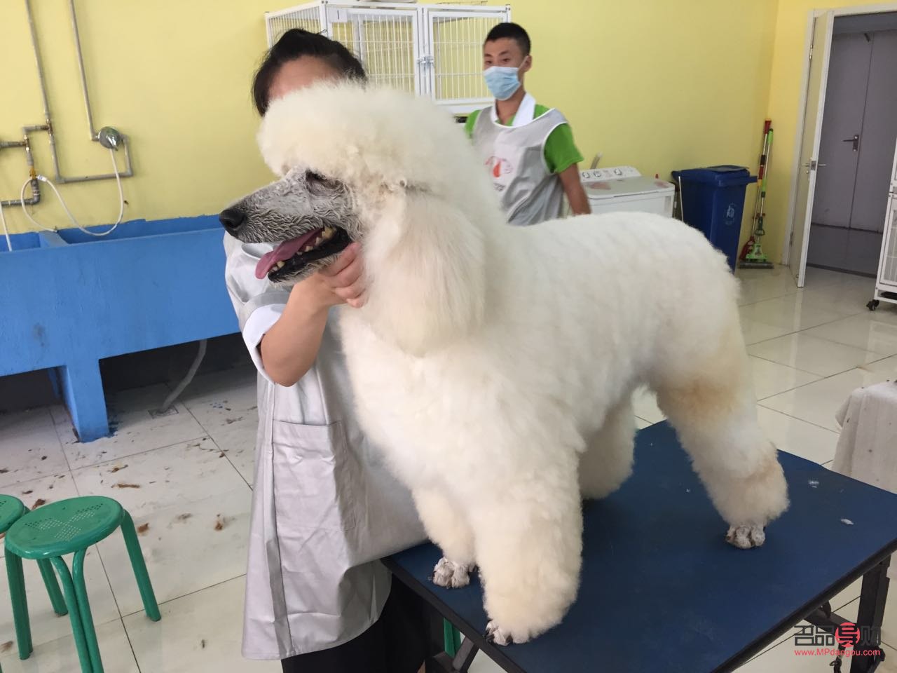 美容業有哪些職業(美容業有哪些職業類型)