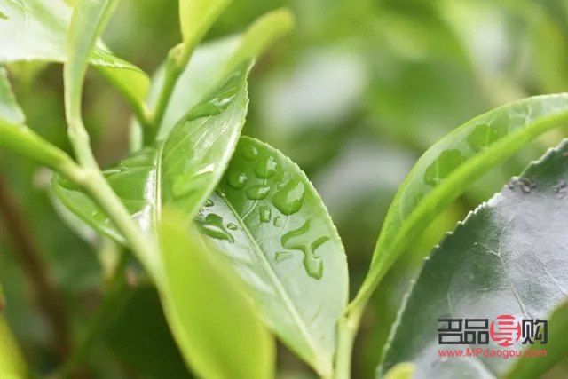 怎么養(yǎng)眼神(怎么養(yǎng)眼神經(jīng)纖維細(xì)胞)
