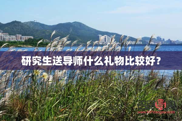 給研究生買(mǎi)什么禮物(給研究生買(mǎi)什么禮物好)