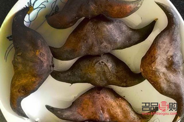 血能美容嗎？揭開血液與美容之間的神秘面紗