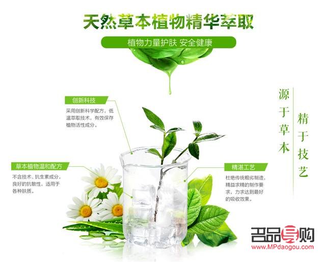 美容圣草大揭秘：這些草本植物讓你的肌膚煥然一新