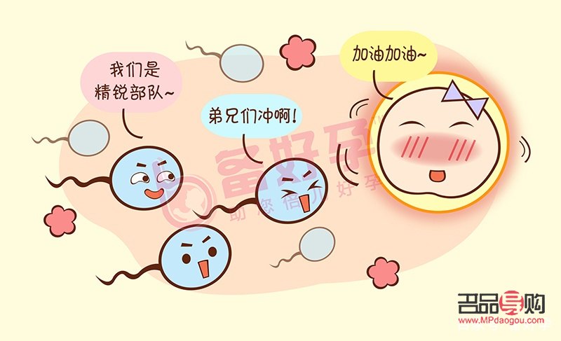 受精后怎么護理身體好(受精后怎么護理身體好呢)