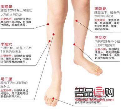 <h3>足三里穴位與美容：傳統中醫的智慧</h3>