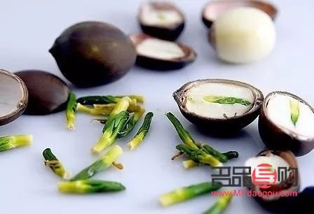 荷葉堿身體護理液的功效與作用