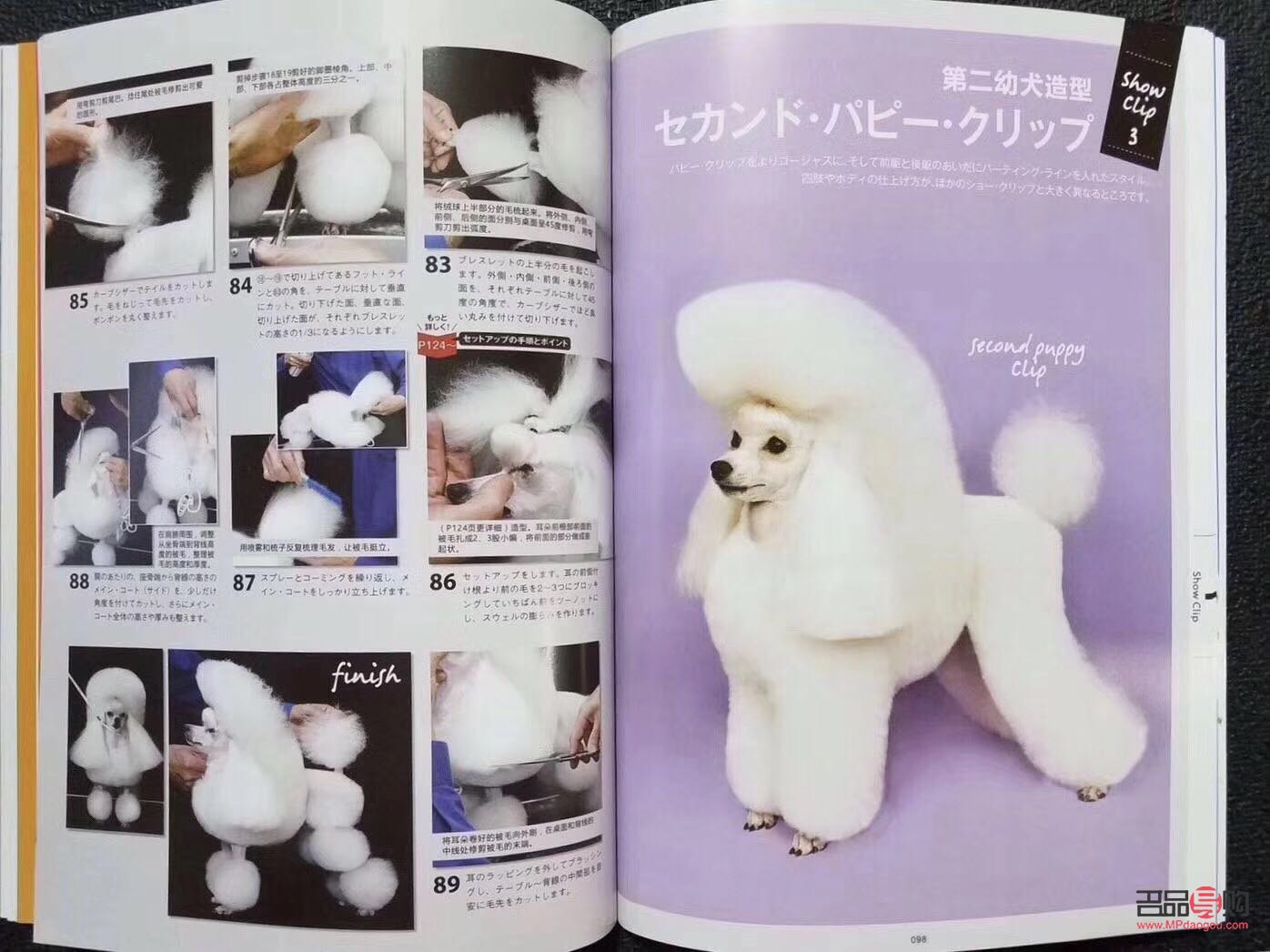 犬美容日語怎么說？學習犬美容專業術語與實用表達