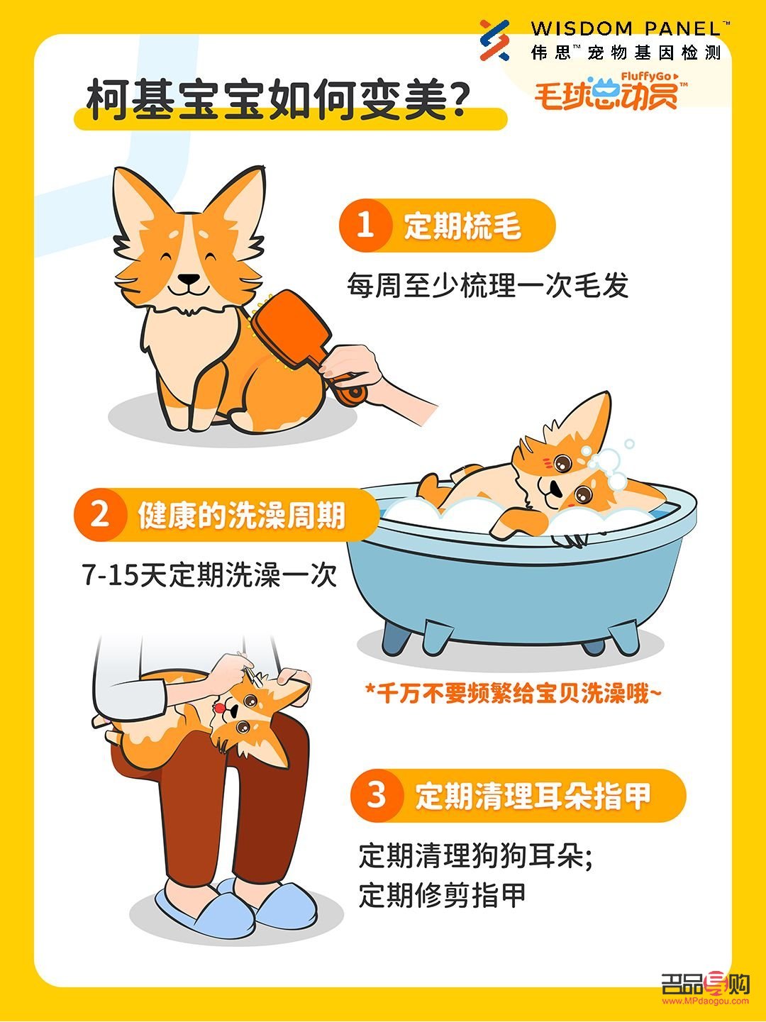 怎么給柯基護理身體(怎么給柯基護理身體視頻)