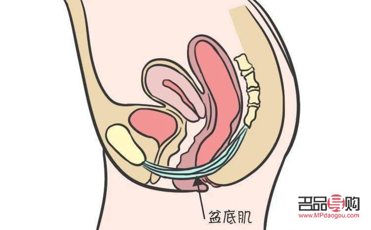 產(chǎn)后手術(shù)怎么護(hù)理身體(產(chǎn)后手術(shù)怎么護(hù)理身體最好)