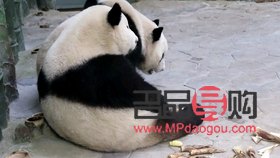 <h3>美容用激光打疼嗎？</h3>