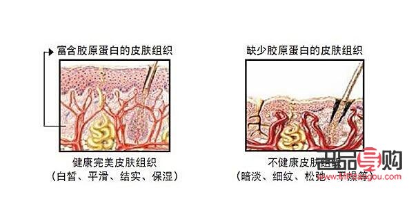 &amp;lt;h1&amp;gt;美容秘訣大揭秘：打造完美肌膚的日常必修課&amp;lt;/h1&amp;gt;