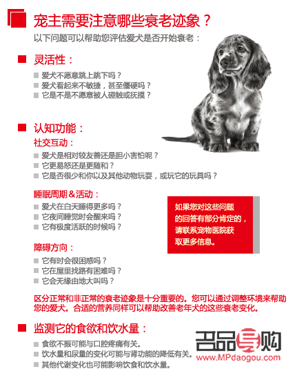 <h3>老狗健康護理全攻略</h3>