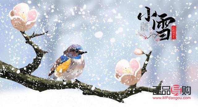 因為什么禮物小雪(因為什么禮物小雪可以送)