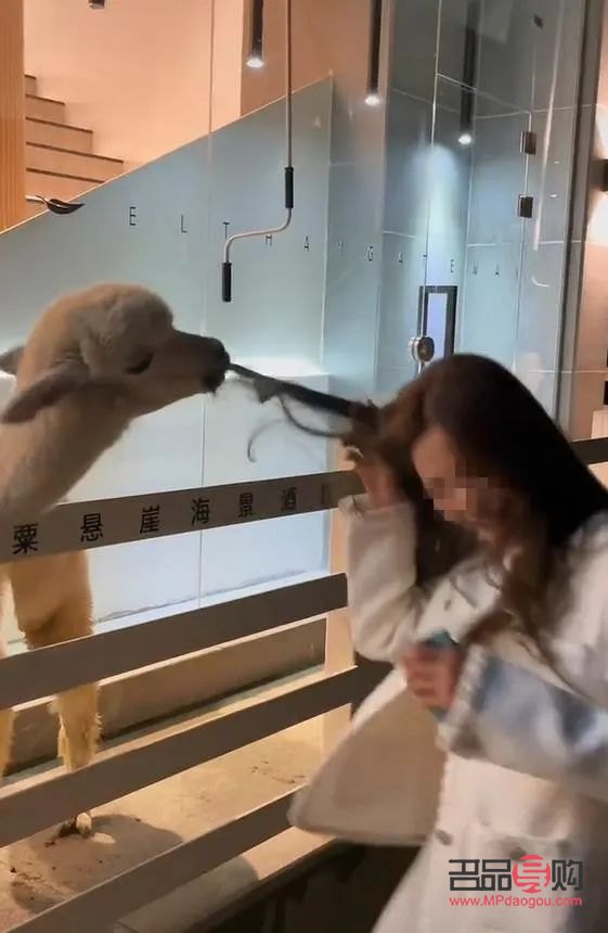 怎么保養身體護理文案(怎么保養身體護理文案句子)