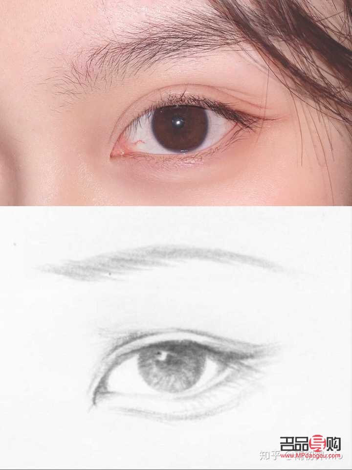 <h3>桃花眼與杏眼：深度解析兩者之間的獨特差異</h3>