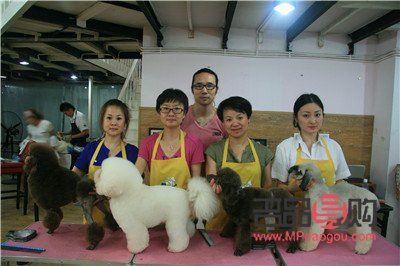 學(xué)美容要多少時間(學(xué)美容要多少時間才學(xué)會)