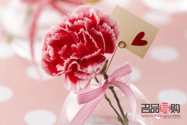 <h3>母親節(jié)禮物選購(gòu)指南：溫馨又美觀的選擇</h3>