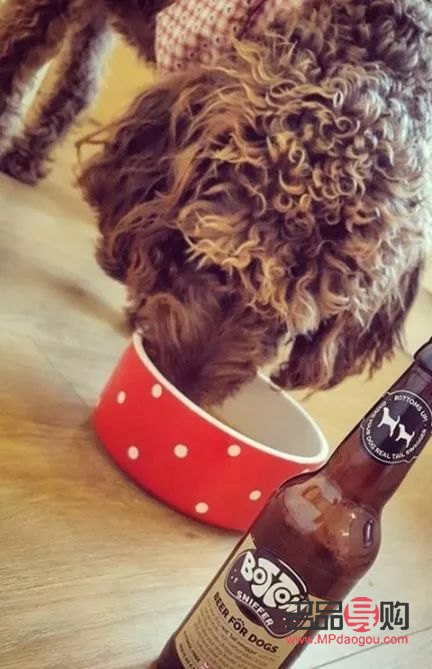 <h1>愛犬日常護(hù)理指南——打造健康亮麗的狗狗形象</h1>