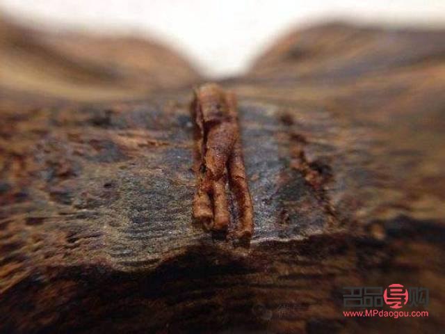 奇楠與美容：傳統香材的新用途