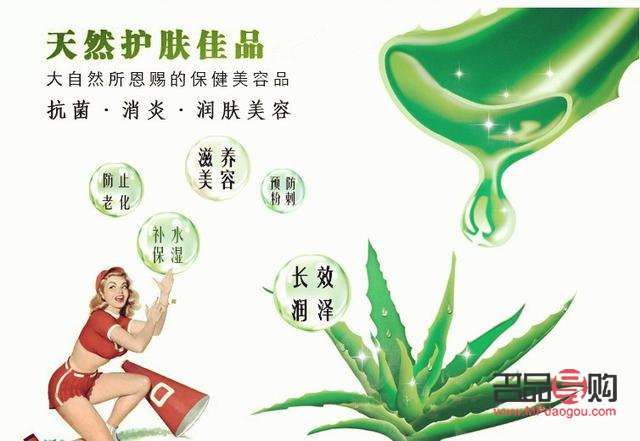 探索蘆薈美容的奧秘