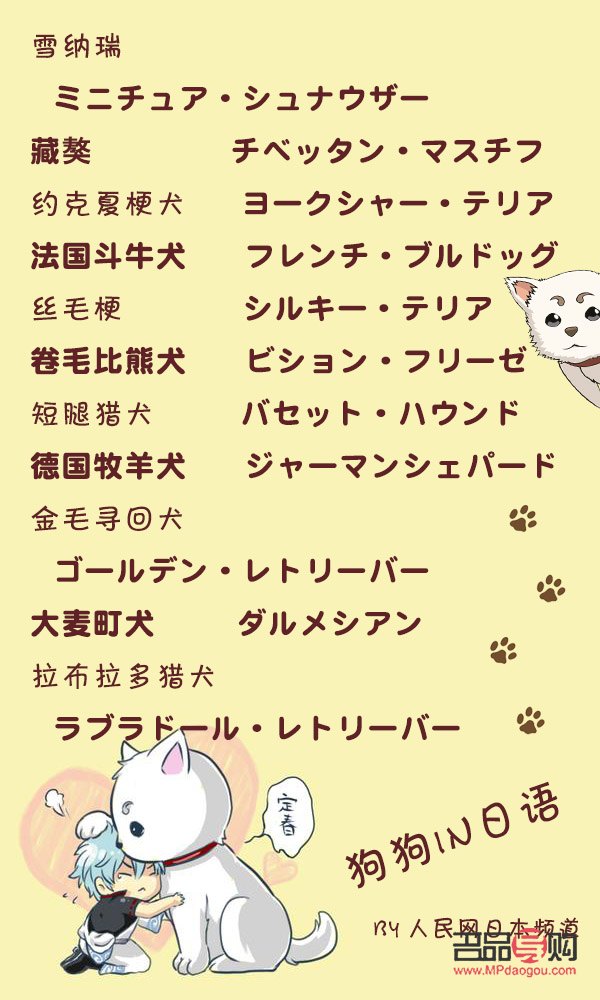 <h3>犬美容日語怎么說？學習犬美容專業(yè)術(shù)語與實用表達</h3>