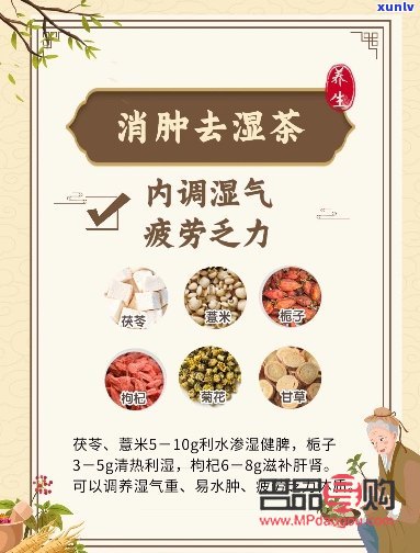 祛濕美容湯：呵護肌膚，遠離濕氣困擾
