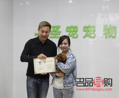 學寵物美容的優勢與前景