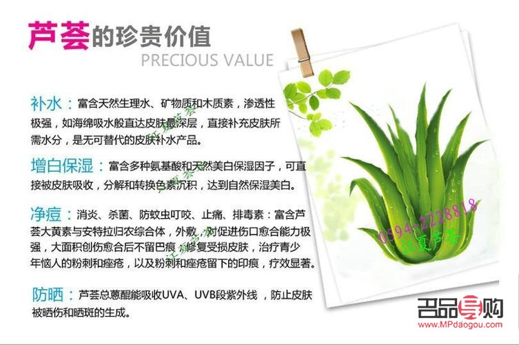 美容蘆薈有哪些(美容蘆薈有哪些品牌)