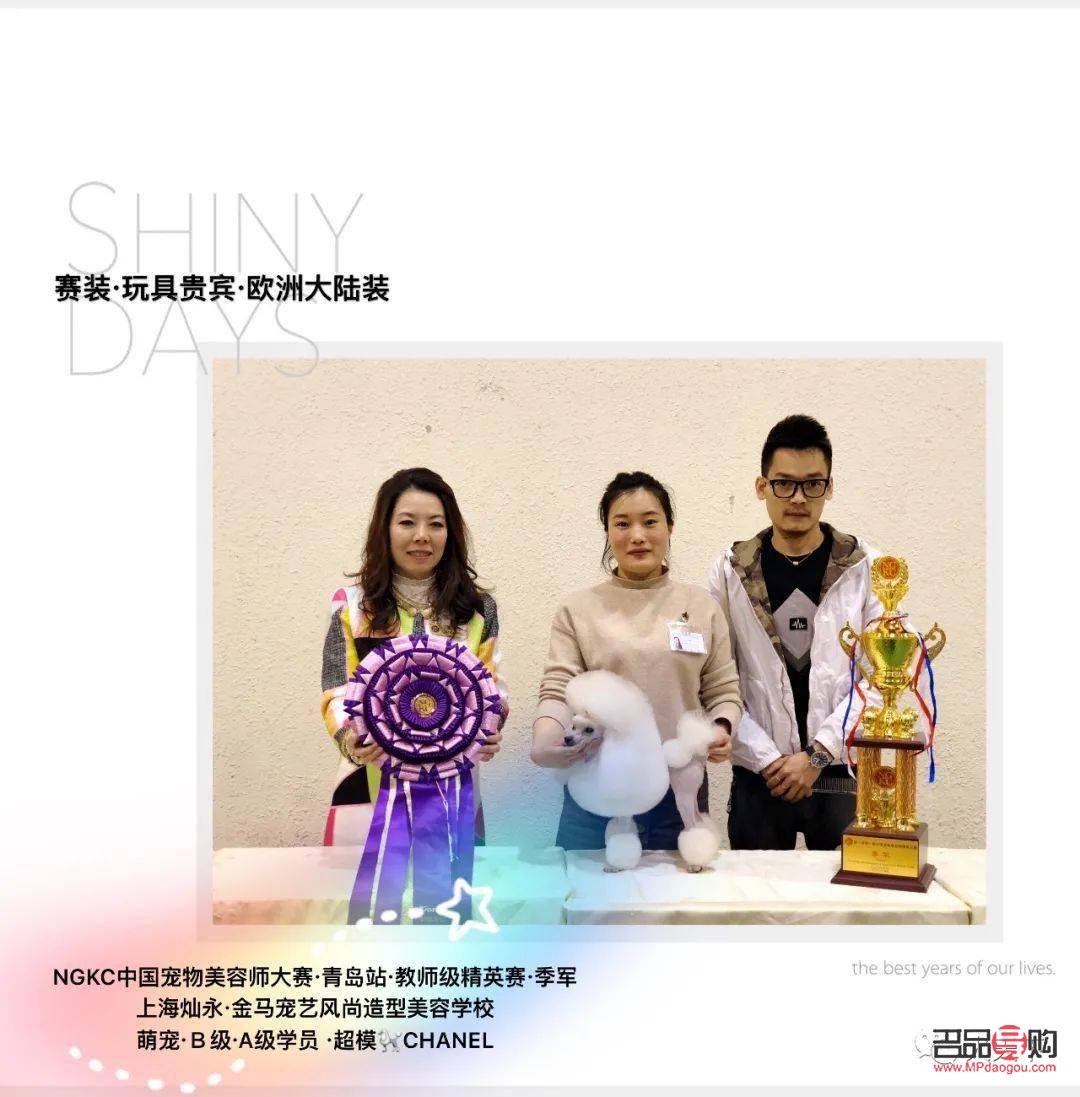 <h3>美容師都做什么：專業技藝與全方位服務的結合</h3>