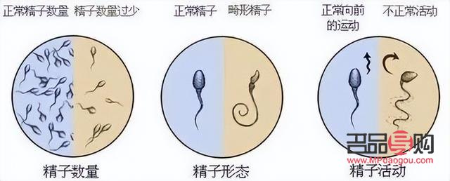 <h3>精子可以美容么？科學解讀精子與美容的關系</h3>
